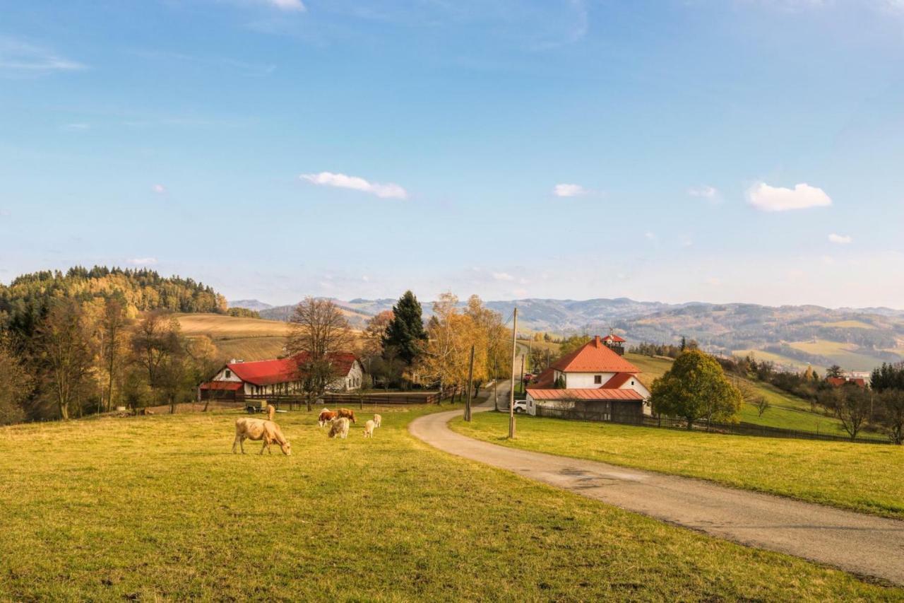 Ubytování Na prženských pasekách Mikuluvka Esterno foto