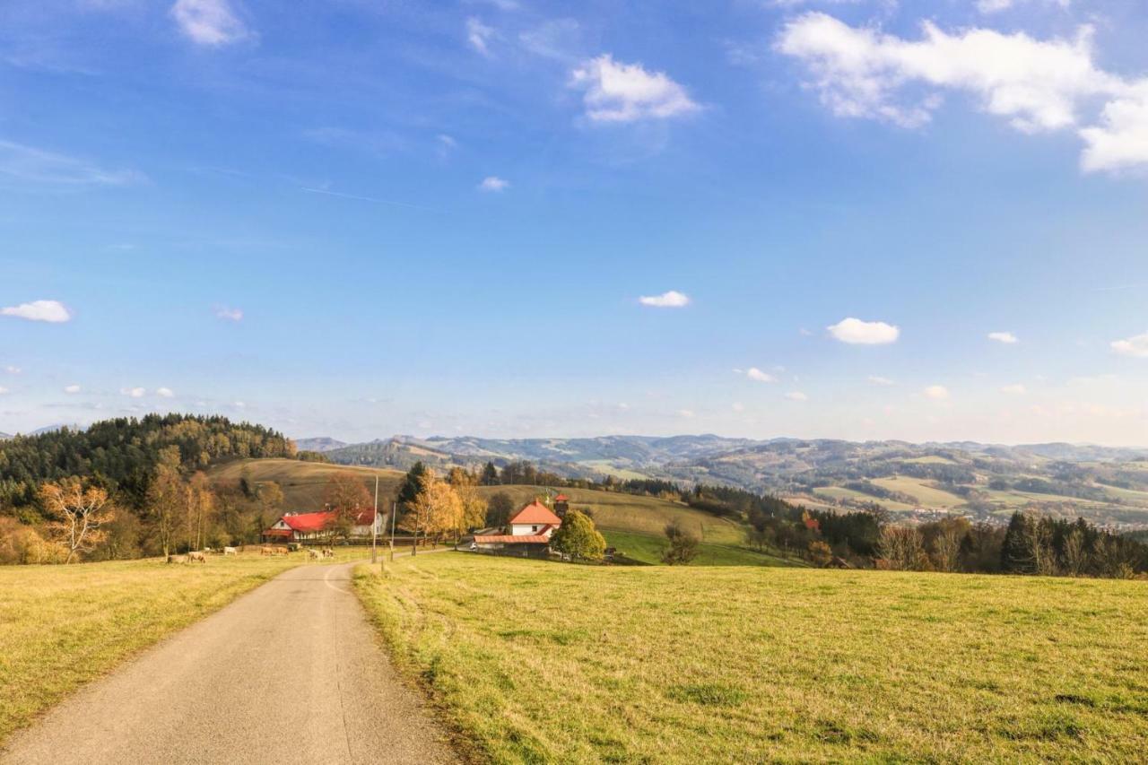 Ubytování Na prženských pasekách Mikuluvka Esterno foto