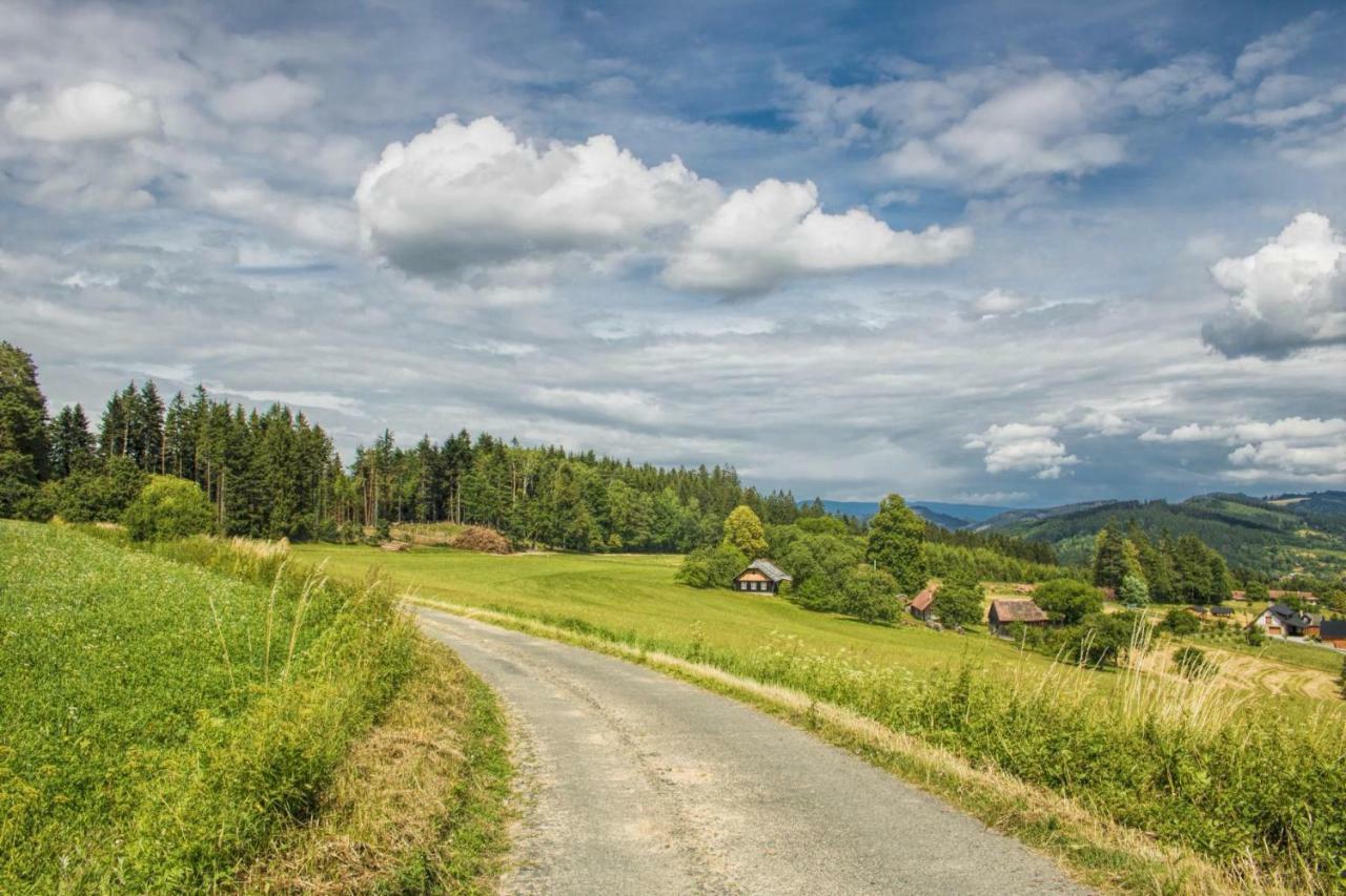 Ubytování Na prženských pasekách Mikuluvka Esterno foto